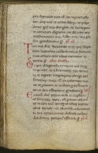 184 II v